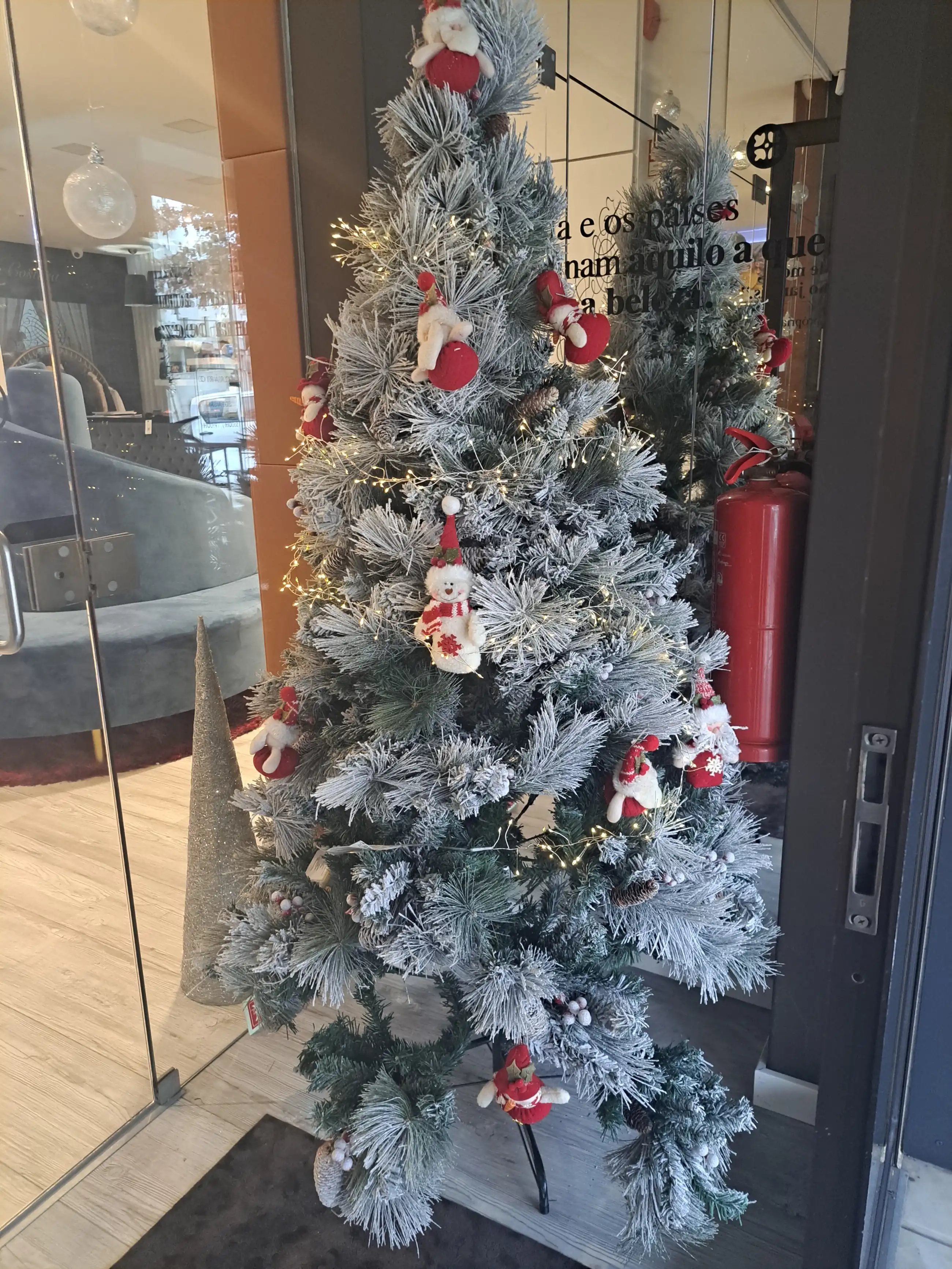 Maria Cristina Santos Monteiro